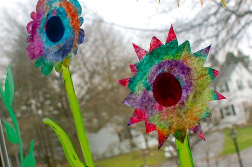 Sunshine flowers